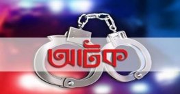 ইট চুরির অপরাধে সেনাবাহিনীর হাতে একজন আটক